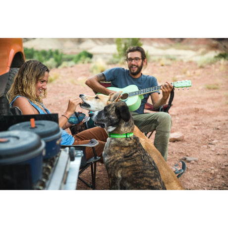 Ruffwear Crag™ Collar Hundehalsband