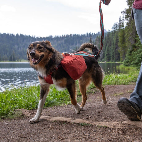 Front Range Day Pack Rucksack