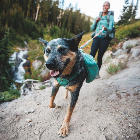 Front Range Day Pack Rucksack