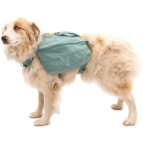 Front Range Day Pack Rucksack
