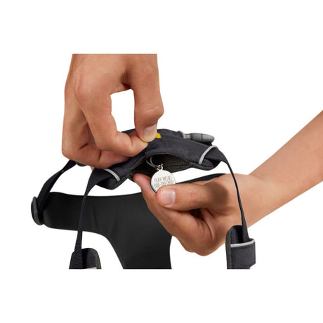 Front Range Harness Hundegeschirr 2.0