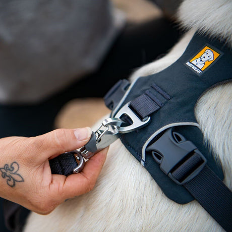 Front Range Harness Hundegeschirr 2.0