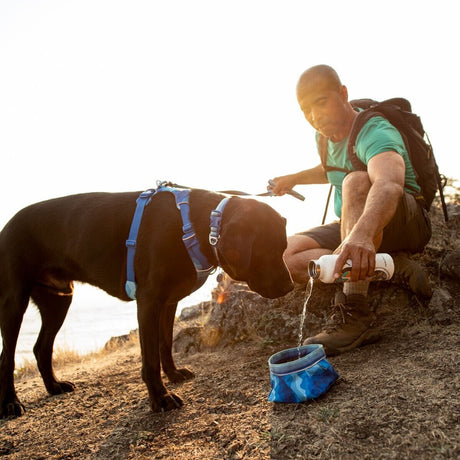 Front Range Harness Hundegeschirr 2.0