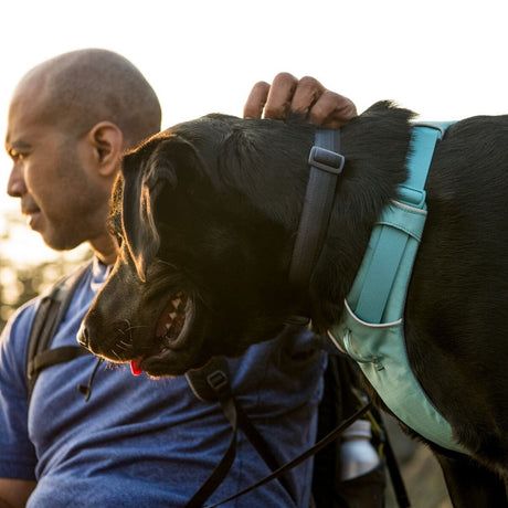 Front Range Harness Hundegeschirr 2.0