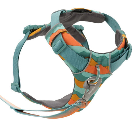 Front Range Harness Hundegeschirr 2.0