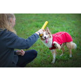 Ruffwear Hundespielzeug Gnawt-a-Stick