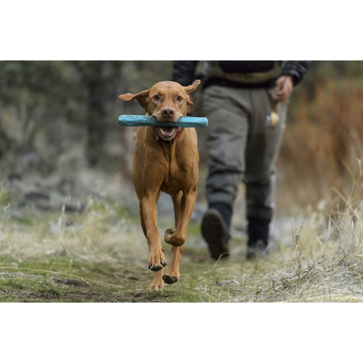 Ruffwear Hundespielzeug Gnawt-a-Stick
