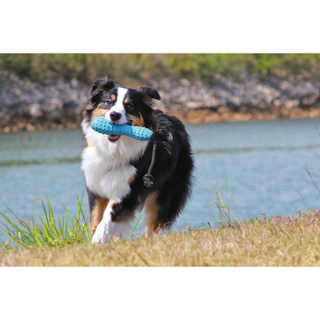 Ruffwear Gourdo Hundespielzeug