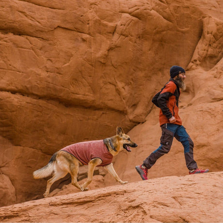 Hemp Hound Hundepullover mit Reißverschluss