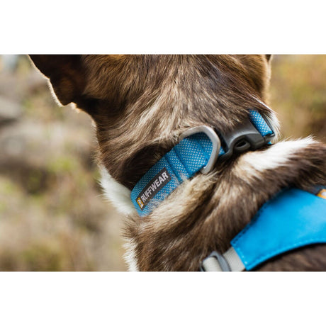Hi & Light™ Halsband