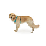 Ruffwear Hi Light Harness Hundegeschirr