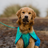 Hunde Regenmantel Sun Shower
