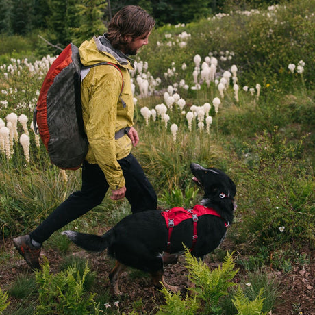 Ruffwear Hundegeschirr Flagline