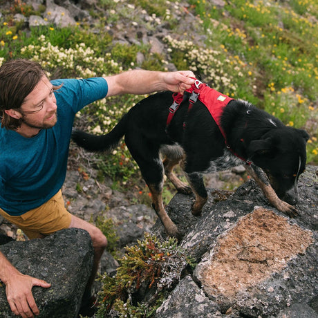 Ruffwear Hundegeschirr Flagline