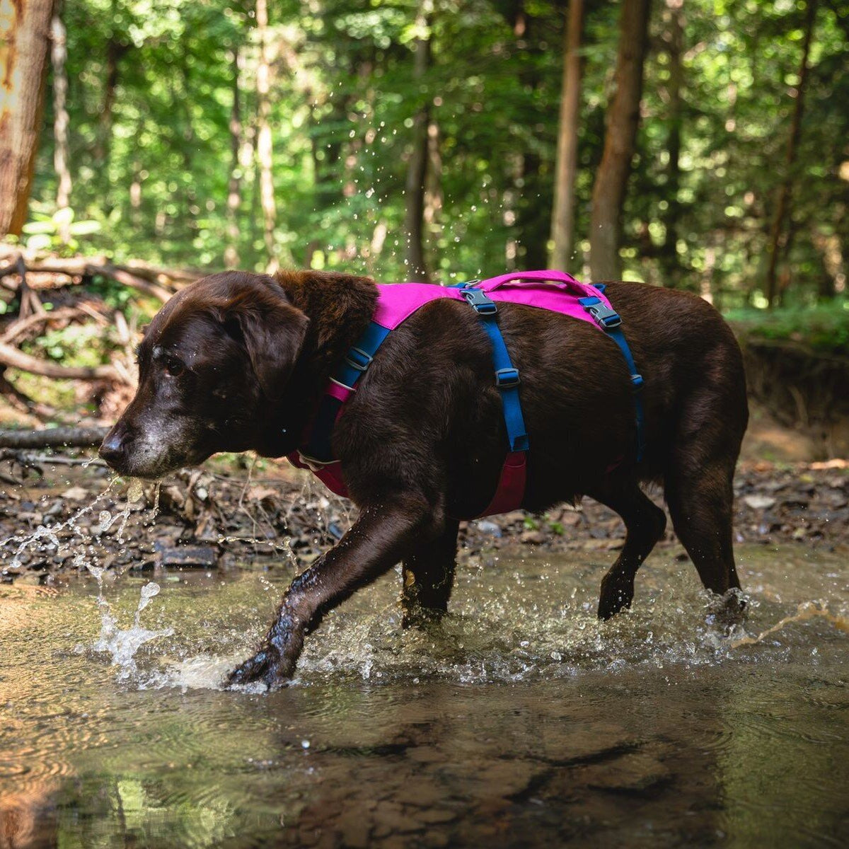Ruffwear Hundegeschirr Flagline