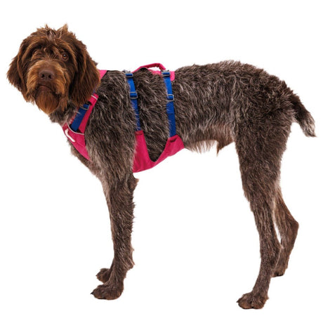 Ruffwear Hundegeschirr Flagline