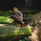 Ruffwear Hundegeschirr Flagline