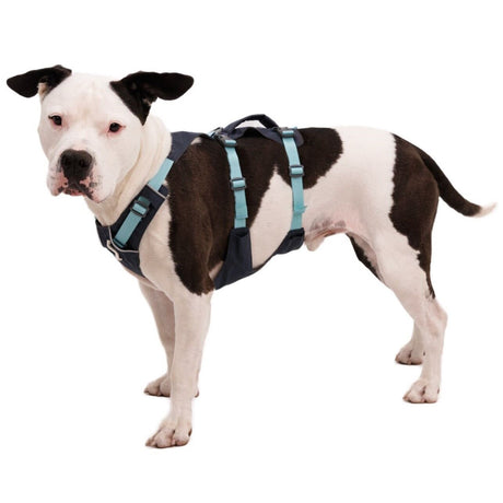 Ruffwear Hundegeschirr Flagline