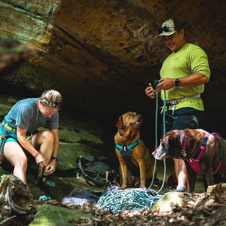 Ruffwear Hundegeschirr Flagline