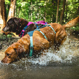 Ruffwear Hundegeschirr Flagline
