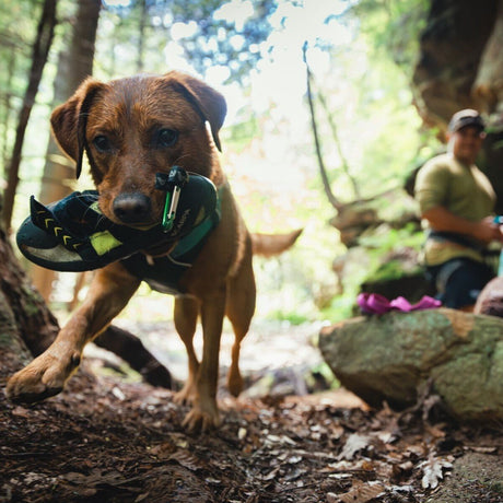 Ruffwear Hundegeschirr Flagline