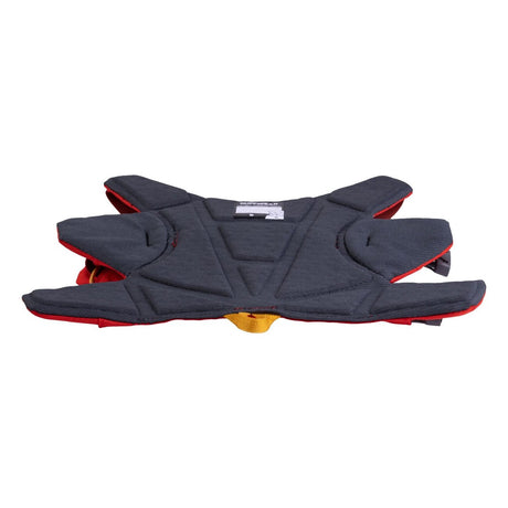 Ruffwear Hunderucksack Palisades™ Pack