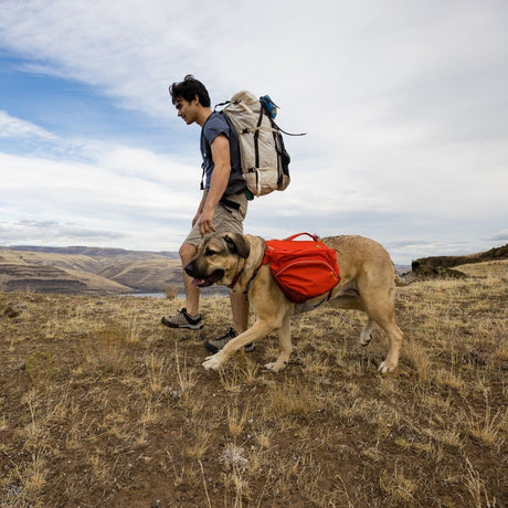 Ruffwear Hunderucksack Palisades™ Pack