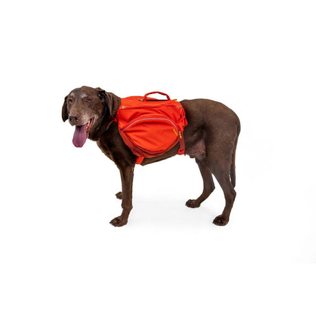 Ruffwear Hunderucksack Palisades™ Pack