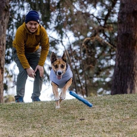 Ruffwear Hundespielzeug Gnawt-a-Stick