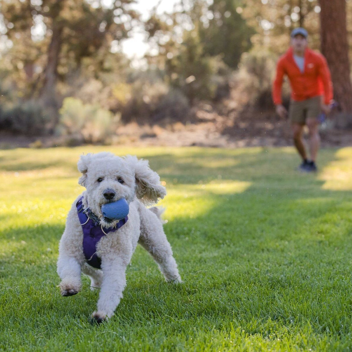 Ruffwear Hundespielzeug Huckama™ befüllbar