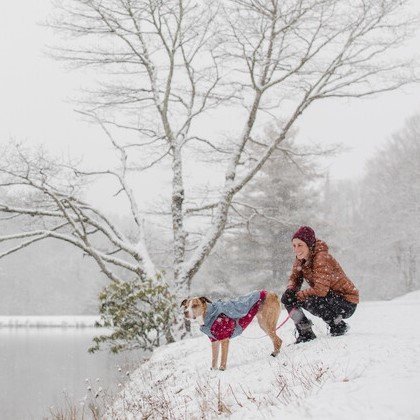 Ruffwear Overcoat Utility Jacket für Hunde