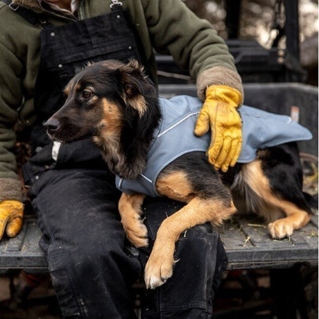 Ruffwear Overcoat Utility Jacket für Hunde