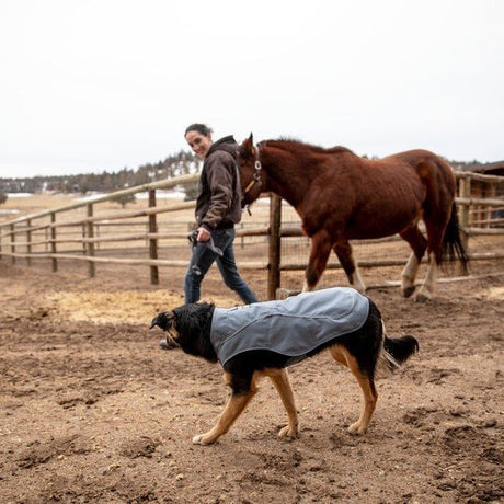 Ruffwear Overcoat Utility Jacket für Hunde
