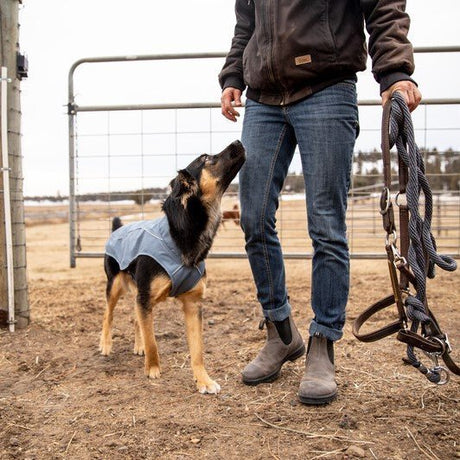 Ruffwear Overcoat Utility Jacket für Hunde