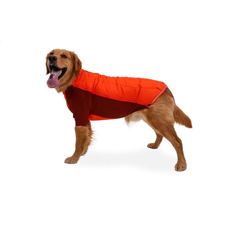 Powder Hound Wintermantel für Hunde