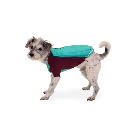 Powder Hound Wintermantel für Hunde