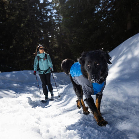 Powder Hound Wintermantel für Hunde