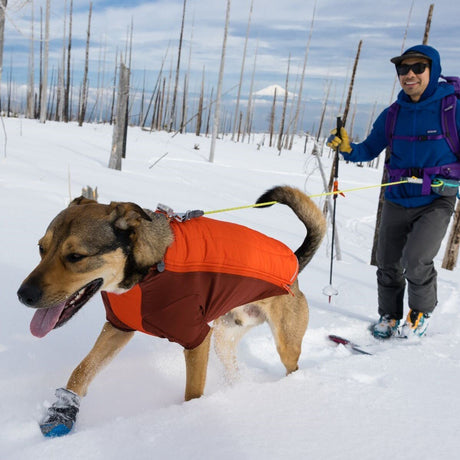 Powder Hound Wintermantel für Hunde
