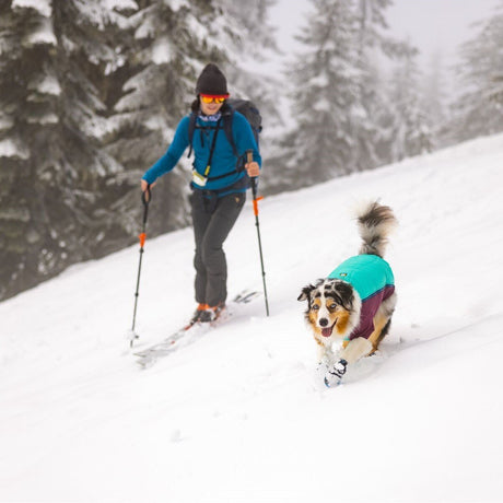 Powder Hound Wintermantel für Hunde