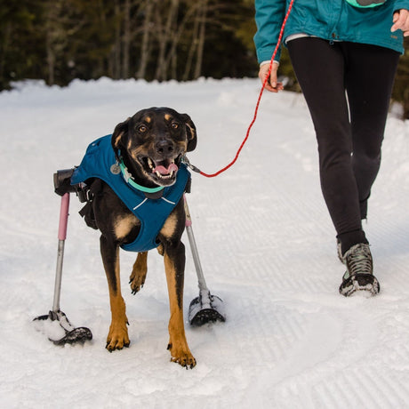 Ruffwear Quinzee Hundemantel gefüttert