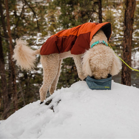 Vert Dog Jacket Hunde Wintermantel