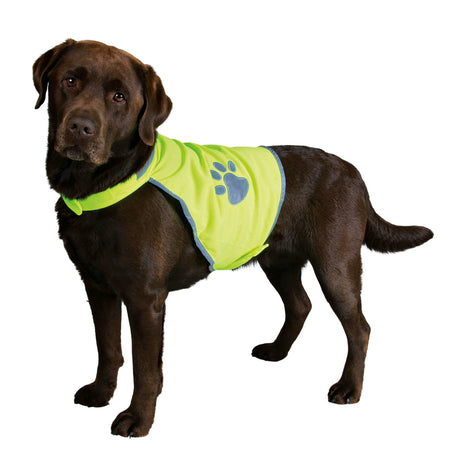 Sicherheitsweste für Hunde