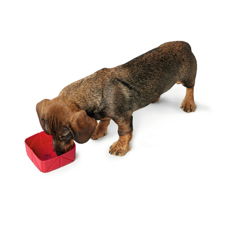 Silikon Falt-Reisenapf für Hunde List