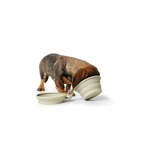 Silikon Reisenapf List für Hunde