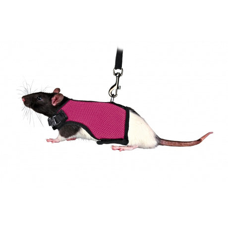Softgeschirr mit Leine für Ratten – div. Farben