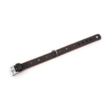 Sternfalbe Lederhalsband für Hunde