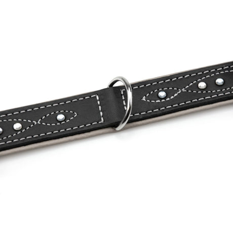 Sternfalbe Lederhalsband für Hunde