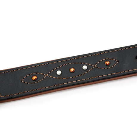 Sternfalbe Lederhalsband für Hunde
