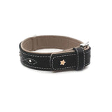 Sternfalbe Lederhalsband für Hunde