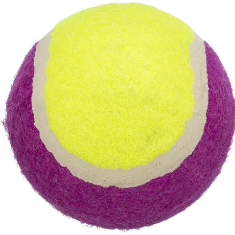 farbenfroher Hunde Tennisball